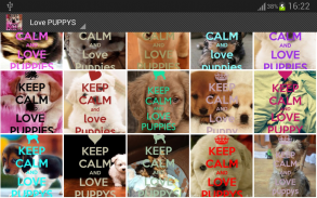 Keep Calm 4 PUPPIES screenshot 3