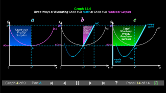 Duke Micro Econ Chapter 15 screenshot 1