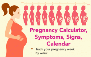 Pregnancy calculator, symptoms screenshot 2