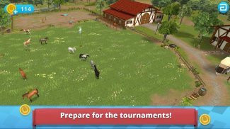 马儿世界—障碍赛 - 属于所有马儿爱好者们的游戏 screenshot 6