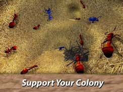 Ants Survival Simulator - go to insect world! screenshot 5