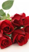 Живые Обои Розы 3D 🌹 Красивые Картинки screenshot 4
