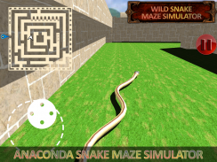 Anaconda Snake Simulator 2017 screenshot 5