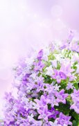 Lilac Flowers Live Wallpaper screenshot 2