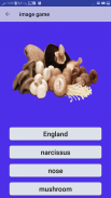 تعليم الانجليزية الابتدائية حروف وارقام وكلمات screenshot 7