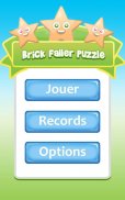 Brick Faller Puzzle screenshot 0