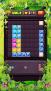 Block Puzzle Level screenshot 15