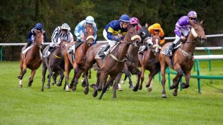 Horse Racing Wallpapers screenshot 0