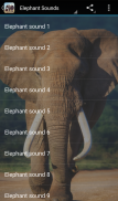 Elephant Sounds screenshot 0