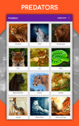 တိရိစ္ဆာန်များကိုဆွဲပုံ။ ပုံဆွဲသင်ခန်းစာများ screenshot 13