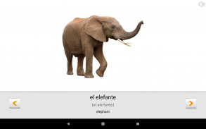 Aprendemos palavras espanholas com Smart-Teacher screenshot 12