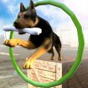 Dog Stunts & Simulator 3D - Crazy Dog Games Icon