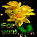 Yellow Magic Flowers LWP Icon