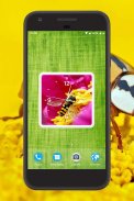 Insects Clock Live Wallpaper screenshot 3