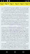 Bachpan ka December by Hashim Nadeem - Urdu Novel screenshot 3