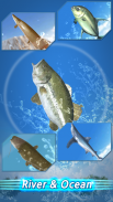 Temporada de Pesca: Río al Océano screenshot 11