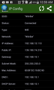 What is My IP? - IPConfig screenshot 0
