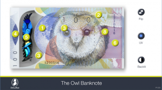 Barn Owl Explore a Banknote screenshot 0