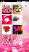 Roses flower Wallpapers V2 screenshot 2