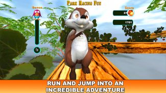 Белка Run - парк Racing Fun screenshot 2
