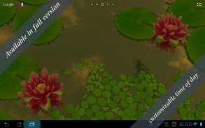 3D Lotus Pond Live Wallpaper screenshot 3