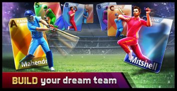 Smash Cricket screenshot 1
