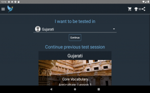 Gujarati Language Tests screenshot 20