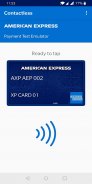 American Express Payment Test screenshot 5