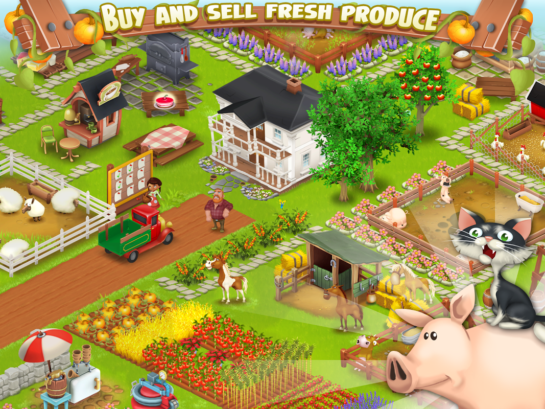 hay day 1.17.95 apk