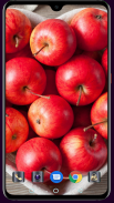 HD Fruit Apple Wallpaper screenshot 6