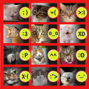 Kittens Pictures Wallpapers