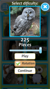 Owl Jigsaw Puzzle screenshot 2