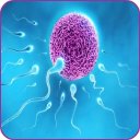 Infertility Solutions Icon