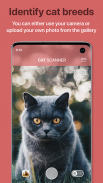 Cat Scanner - Identificare la razza di gatto screenshot 5