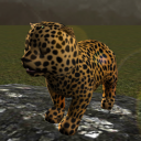 Real Cheetah Cub Simulator Icon