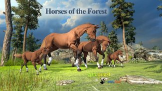 Horses of the Forest screenshot 0