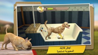 DogHotel - العب مع الكلاب screenshot 2