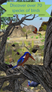 My Aviary - Grow Your Idle Bird Paradise screenshot 0