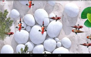 Koi Fish Live Wallpaper 3D screenshot 4