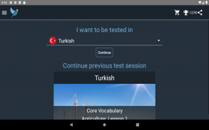 Turkish Language Tests screenshot 7