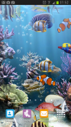 Настоящий аквариум - живые обои screenshot 5