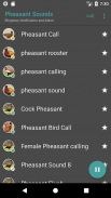 Appp.io - Pheasant Âm thanh screenshot 2