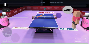 Table Tennis Recrafted: Genesis Edition 2019 screenshot 15