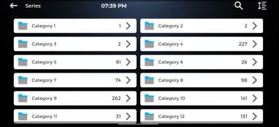 IPTV Smarter Pro Dev Player screenshot 12