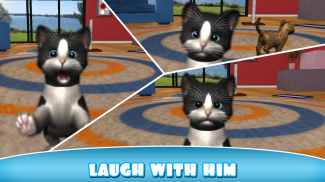 Daily Kitten : आभासी बिल्ली screenshot 3