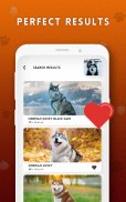 Dog breeds identifier, scanner app: Scan dogs screenshot 4