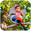 Birds Photo Frames - Baixar APK para Android | Aptoide