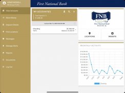 FNB Brooksville screenshot 6