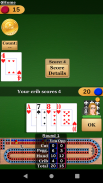 Cribbage Pro screenshot 17