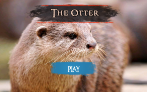 The Otter screenshot 19